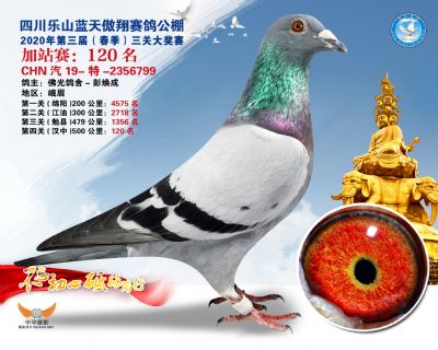 藍天傲翔加站賽120名
