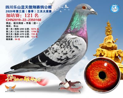 藍天傲翔加站賽121名