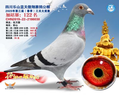 藍天傲翔加站賽122名