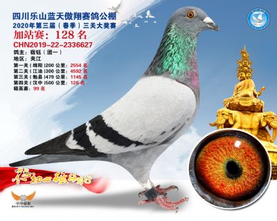 藍天傲翔加站賽128名