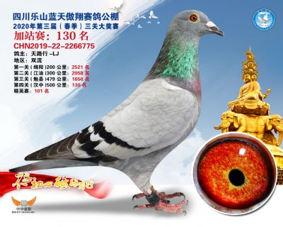 藍天傲翔加站賽130名
