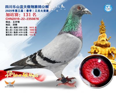 藍天傲翔加站賽131名