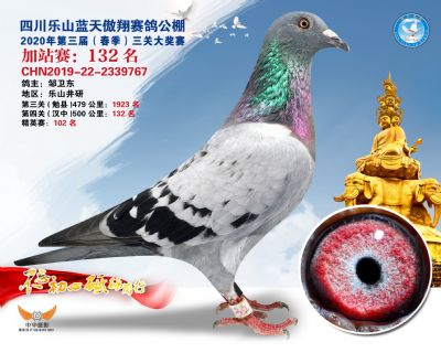 藍天傲翔加站賽132名