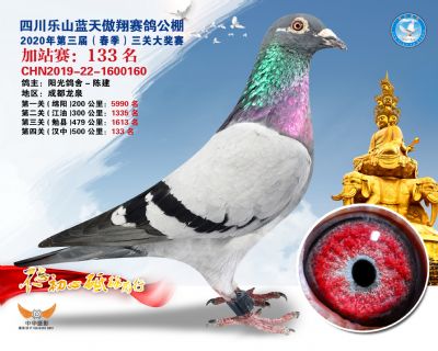藍天傲翔加站賽133名