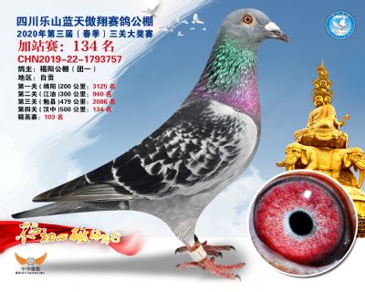 藍天傲翔加站賽134名