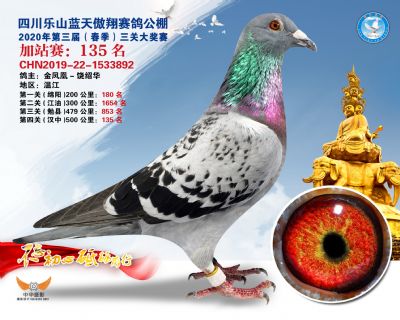 藍天傲翔加站賽135名