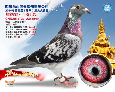 藍天傲翔加站賽136名