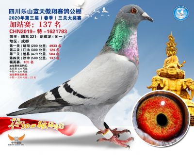 藍天傲翔加站賽137名