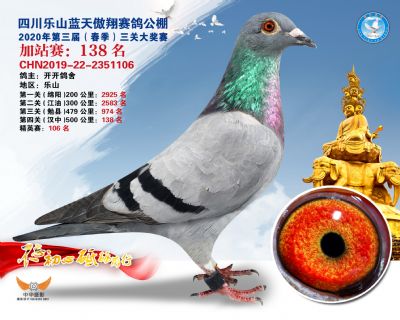 藍天傲翔加站賽138名