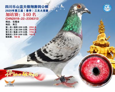 藍天傲翔加站賽140名