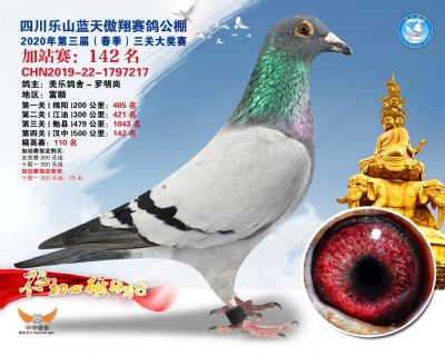 藍天傲翔加站賽142名