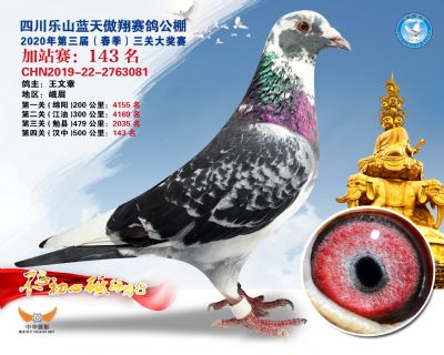 藍天傲翔加站賽143名