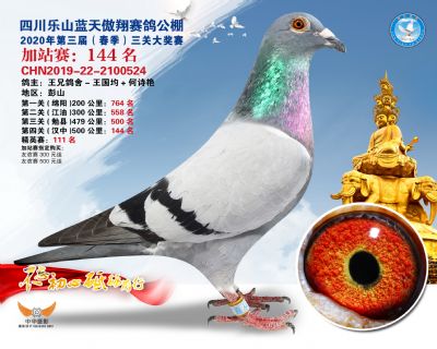 藍天傲翔加站賽144名