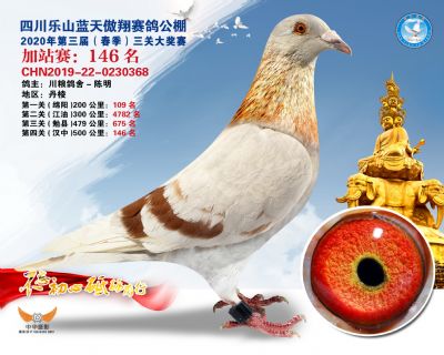 藍天傲翔加站賽146名