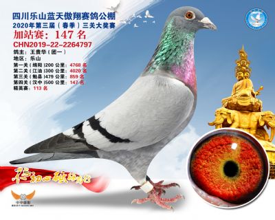 藍天傲翔加站賽147名