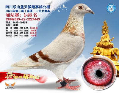 藍天傲翔加站賽148名