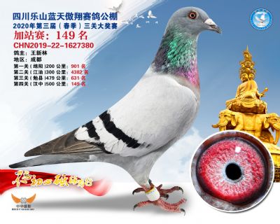 藍天傲翔加站賽149名