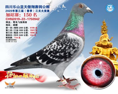藍天傲翔加站賽150名