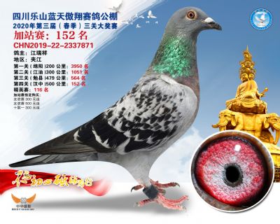 藍天傲翔加站賽152名