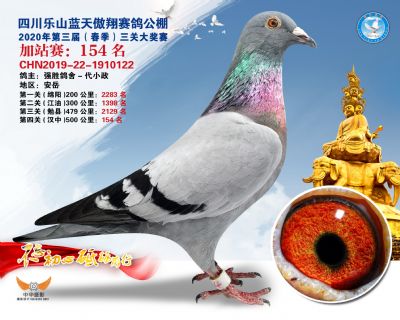 藍天傲翔加站賽154名