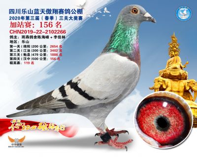 藍天傲翔加站賽156名