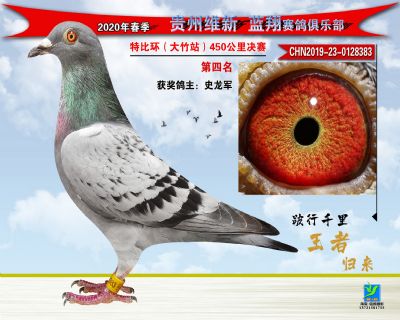 四名