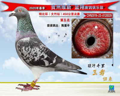 五名
