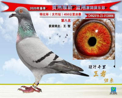 八名