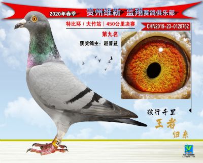 九名