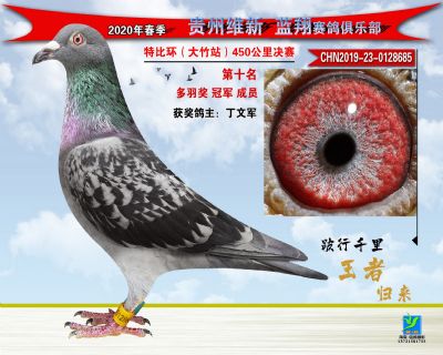 十名