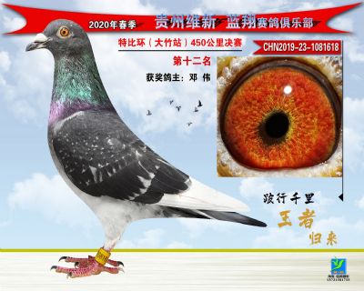 十二名