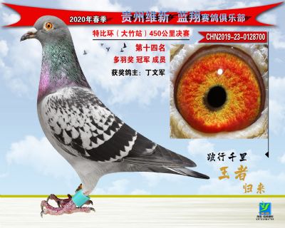 十四名