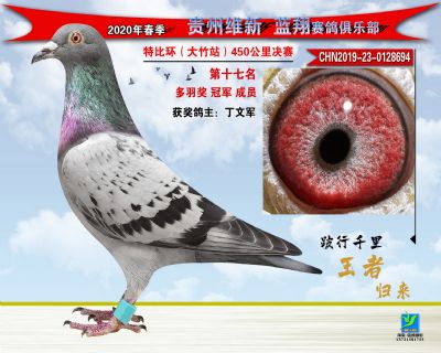 十七名