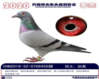 雙關16趙鑫