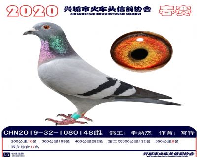 雙關17李炳杰