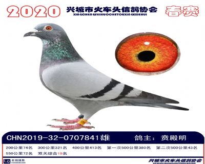 雙關18賁殿明