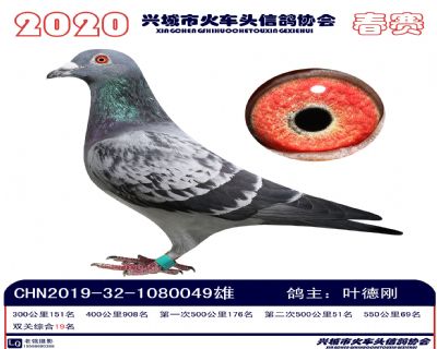 雙關19葉德剛