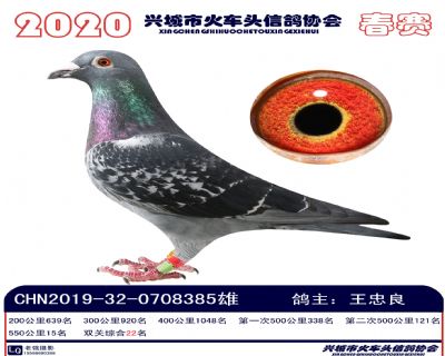 雙關22王忠良