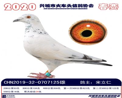 雙關24宋立仁