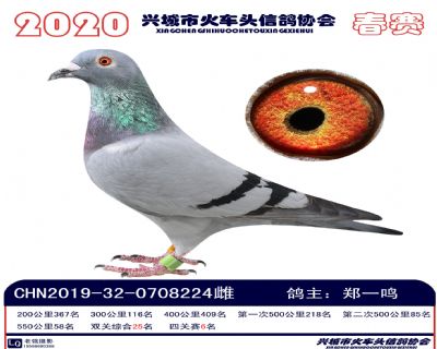 雙關25鄭一鳴