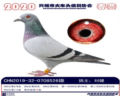 雙關26劉健