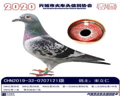 雙關27宋立仁