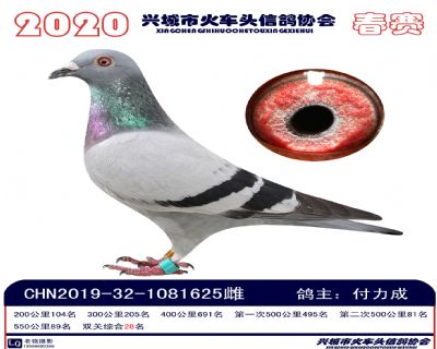 雙關28付力成
