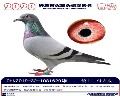 雙關33付力成