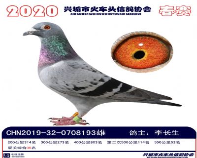 雙關35李長生