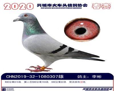 雙關36李彬