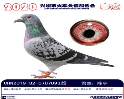 雙關38陳宇