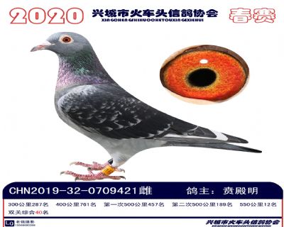 雙關40賁殿明