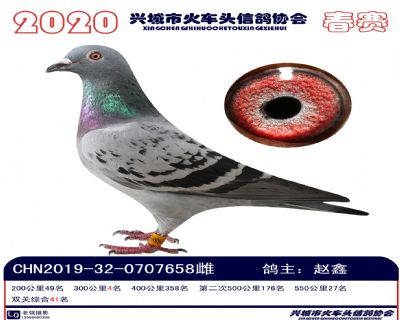 雙關41趙鑫