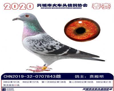雙關43賁殿明